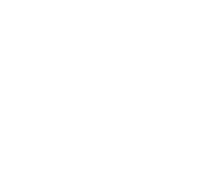smarttalks_white